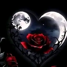 Guest_Ross348517