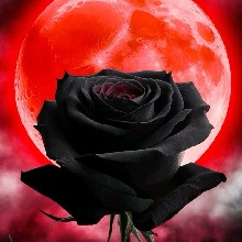 immagine avatar