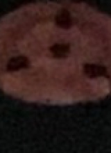 Guest_Ben599738