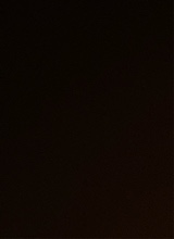 صورة الـavatar