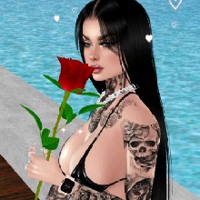 Guest_lusouza6