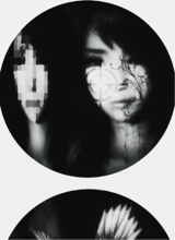 Guest_Dabarttmyaa