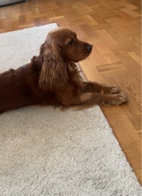 Guest_beni198776