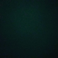 Guest_NestLe7