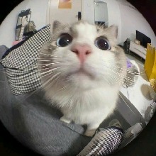 Guest_BoHn19