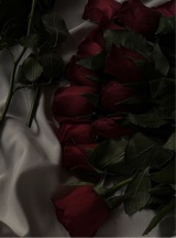 Guest_Anito26