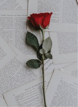 Rosebythorn