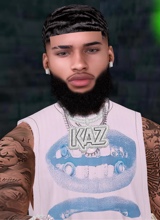 TMileZ420