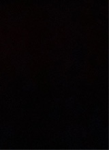 Guest_GottiBeTrippin