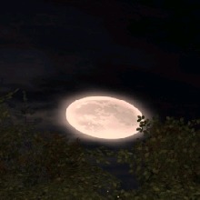 PANDORIT