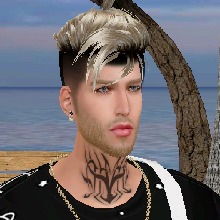 Guest_jerlan1