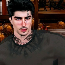 Guest_Noah255784