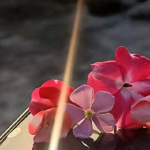 Guest_Karthi9