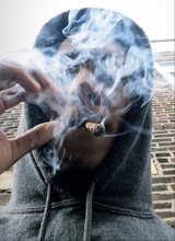 Guest_iiomqvonnii