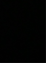 Guest_Soares355432