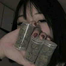 Guest_Aylly