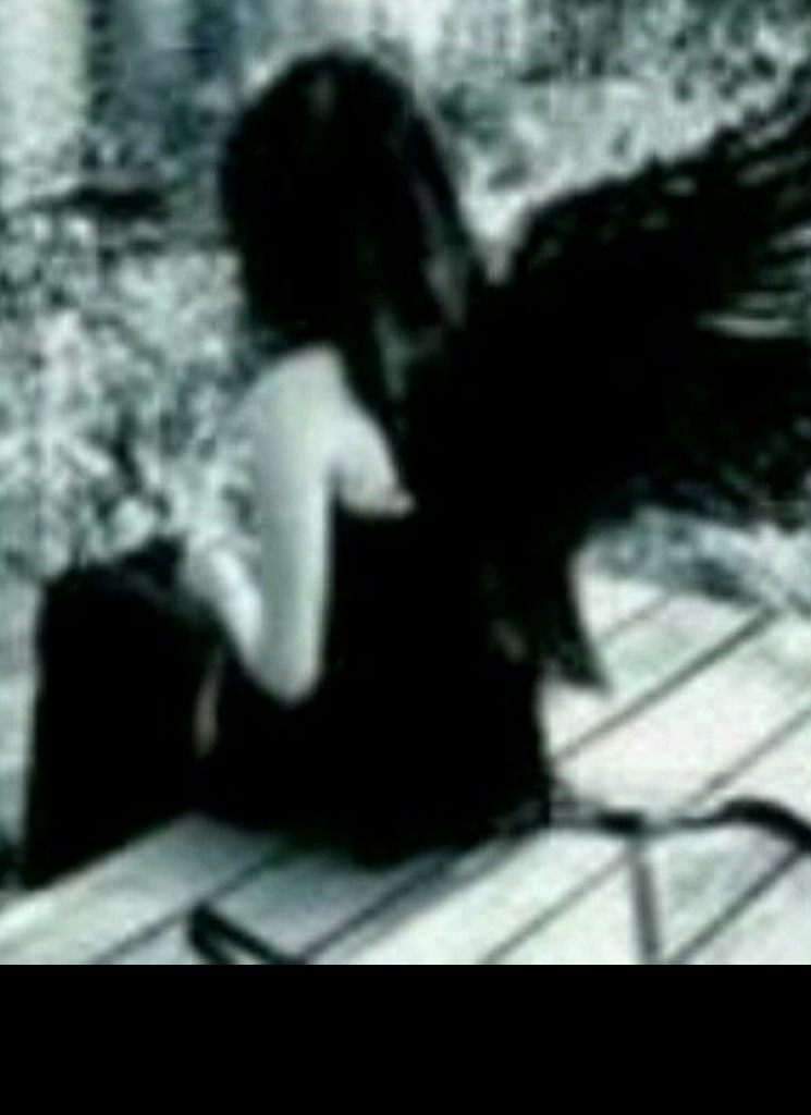 Guest_vxxza