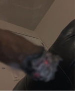 Guest_ShesimpforZay3