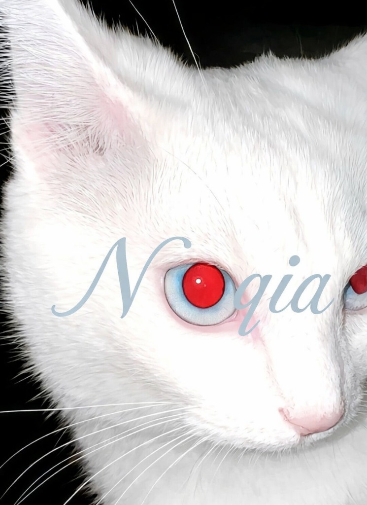 noqia