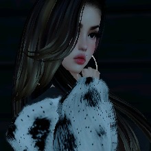 Guest_Dany833434