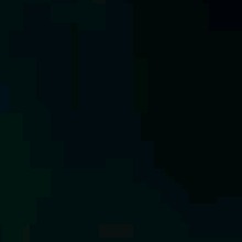 Guest_Lucas371834