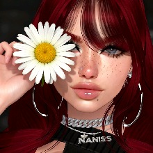 NanissMS