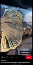 Guest_cochiemantarell