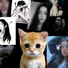 Guest_KeralaKarolina