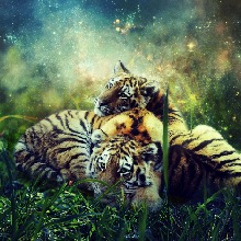 avatar picture