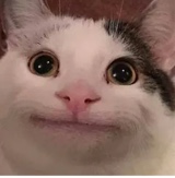 Zyke