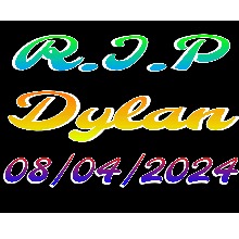 oxMrDylanIsPerfectxo