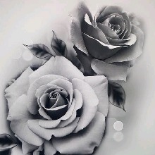 Guest_VIXMEN15