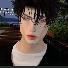 Guest_Rafael528136