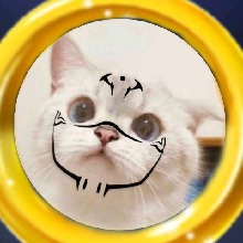 Guest_Peanutbutter171