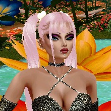 6Dragon6Lady6