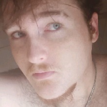Guest_DonofMafia1
