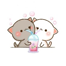 Guest_Kimkim49152