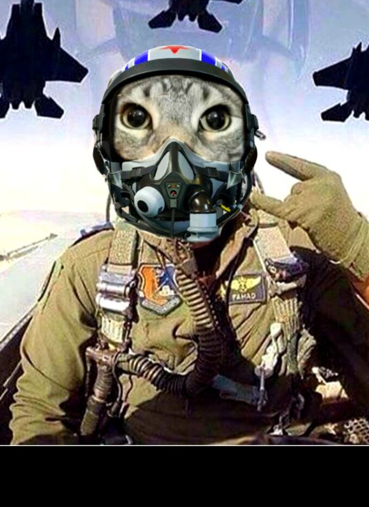 Guest_lyeribot