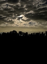 immagine avatar