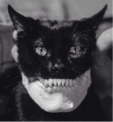 pussiez