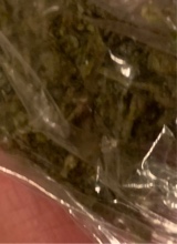 Guest_Greenflggggg