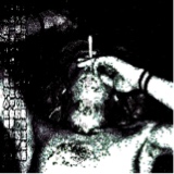 Guest_Hxgo2