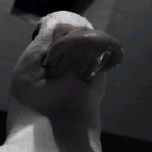 Guest_Carlos8