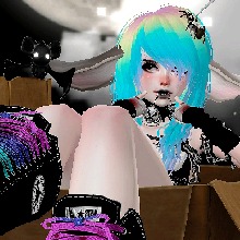 Guest_aikonekovampire