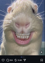 GUNNATHUGGAxBT