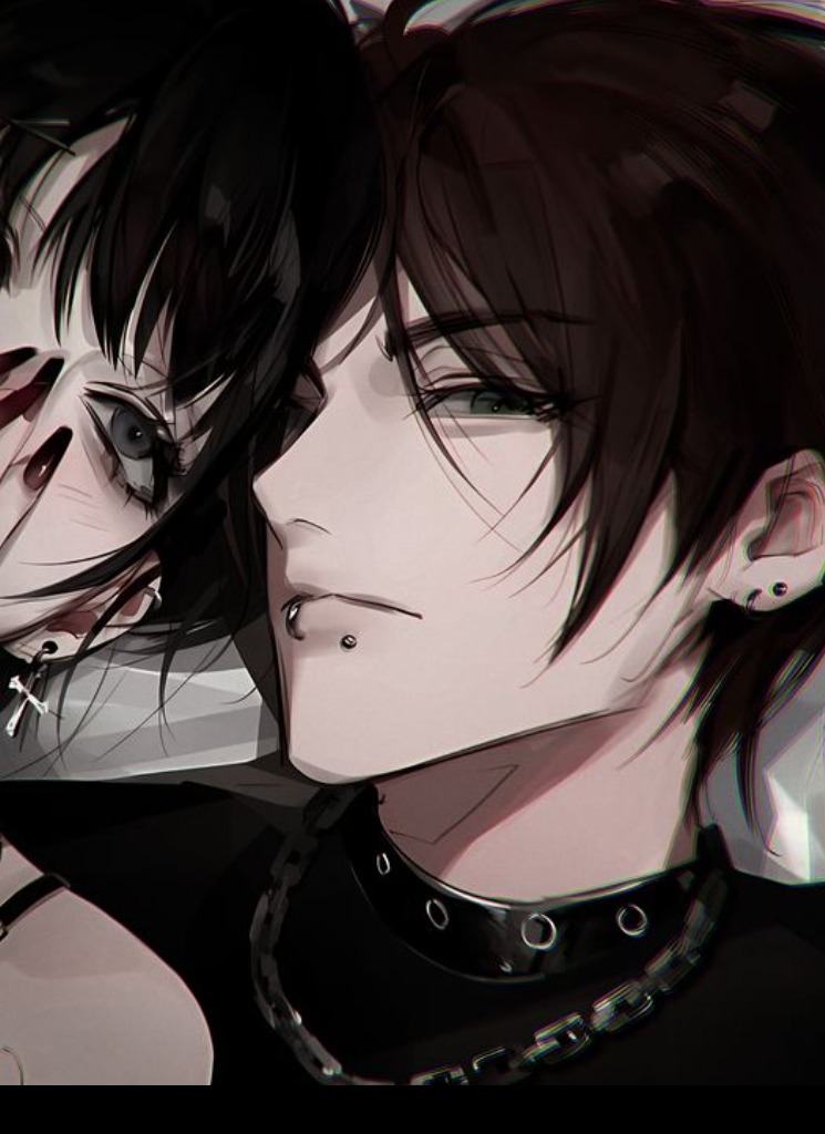 Guest_Mecer1