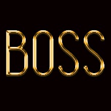 BOSSS5