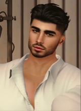 MisterExotico