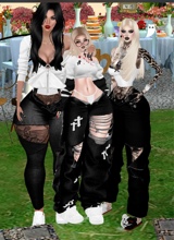 Paributterfly1