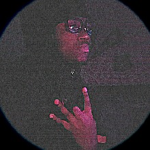 Guest_Papi902409